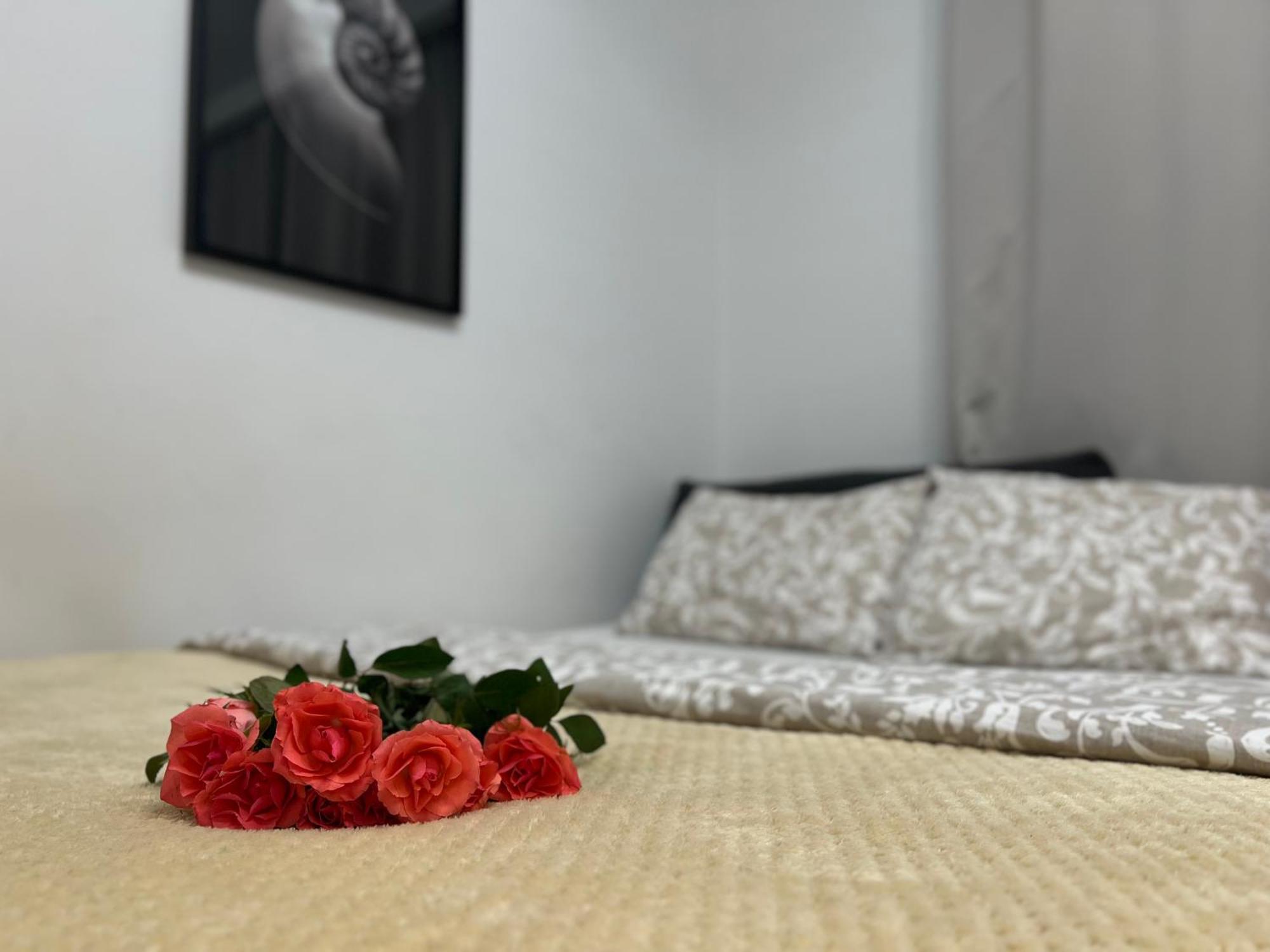 Parkcity Bogucice Karoliny Κατοβίτσε Εξωτερικό φωτογραφία